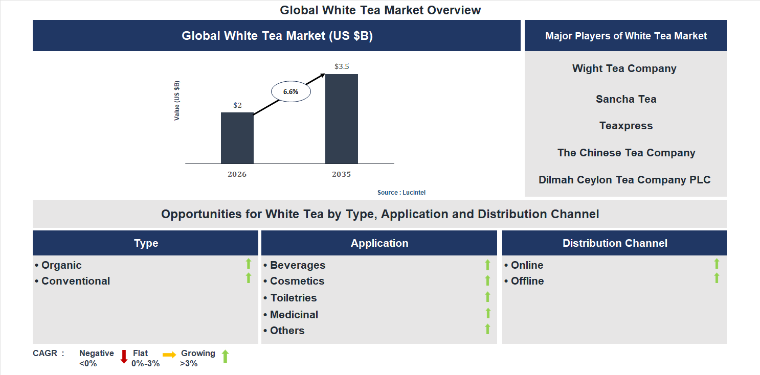 White Tea Market Trends and Forecast White Tea Market Trends and Forecast